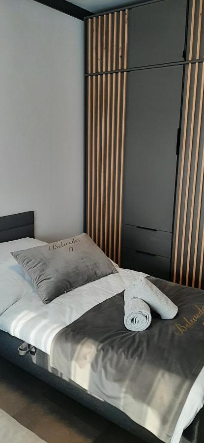 Belweder Loft Appartement Nysa Buitenkant foto